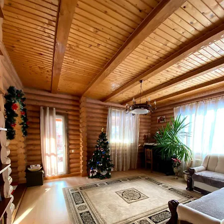 Holiday home в карпатах Skole
