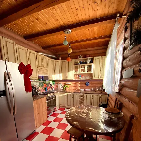 в карпатах Holiday home